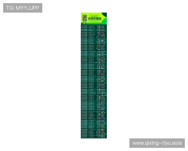 2026年世界杯预选赛足球比分详细分析与赛程安排